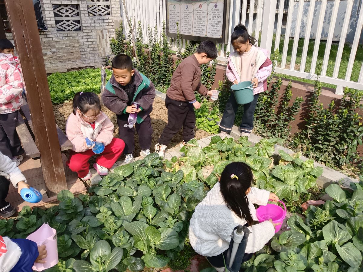 导入图片