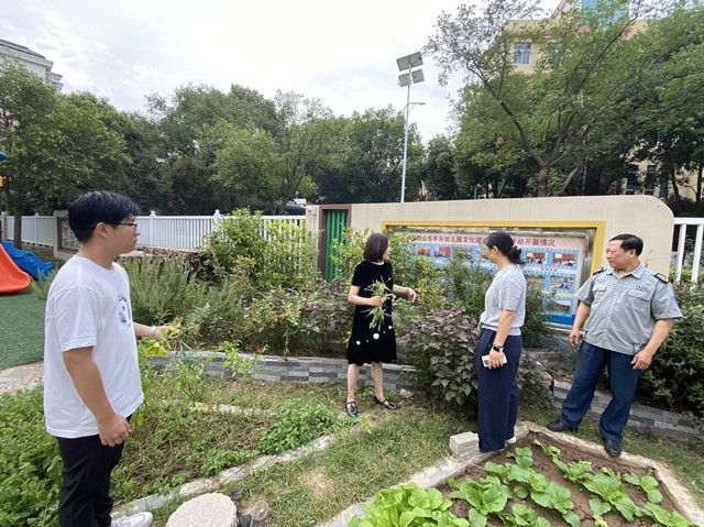 导入图片