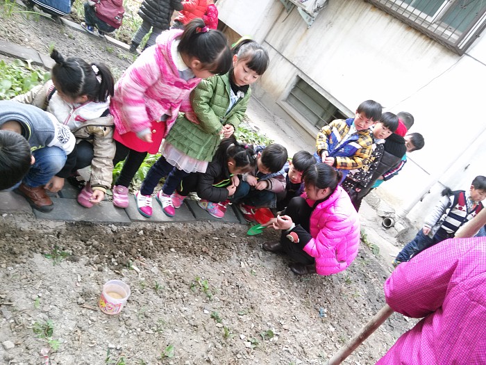 鸿鹰园大四班
